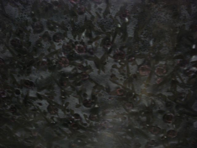 Meteorous Granite granite slab