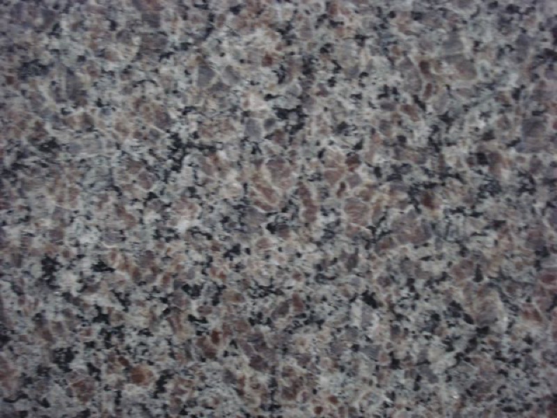 NEW Caledonia Granite granite slab