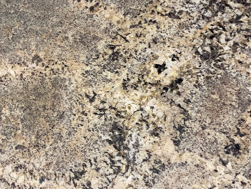 Absolute Cream natural stone slab