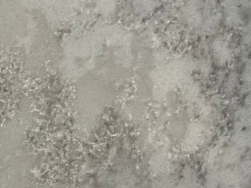 Bianco Cristalita Quartz quartz slab