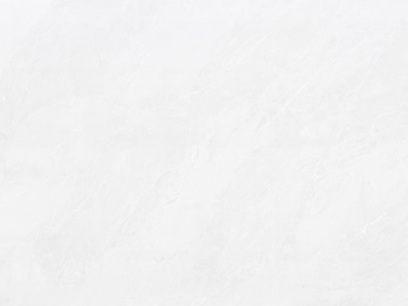 Bianco Rhino Super Jumbo Quartz quartz slab
