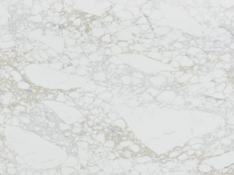 Calacatta Monet Quartz quartz slab